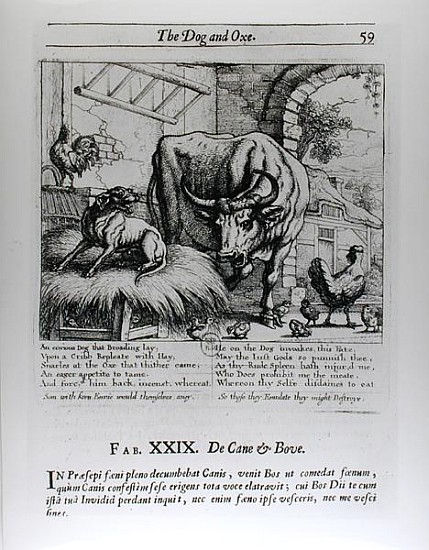 Illustration for ''The Dog and the Ox'', from Aesop''s Fables von Francis Barlow