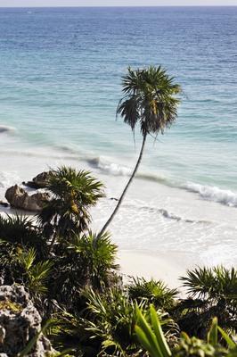 mayan archeologic site of tulum