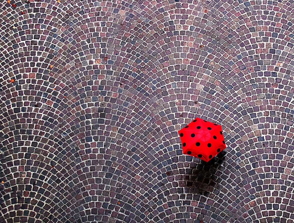 urban ladybug von Franco Maffei