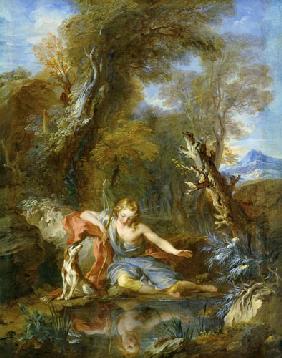 Narcissus 1728
