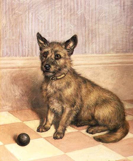 Waiting to Play, a Cairn terrier with a ball von Frank Paton