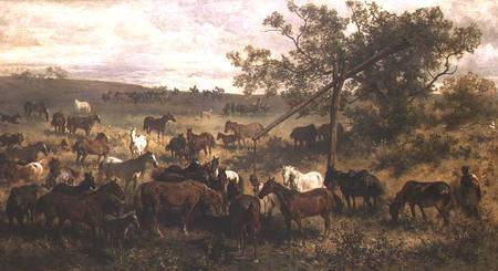 Horses at a Trough von Franz Adam