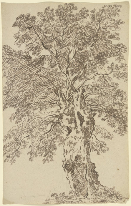 Alter Baum von Franz Innocenz Josef Kobell