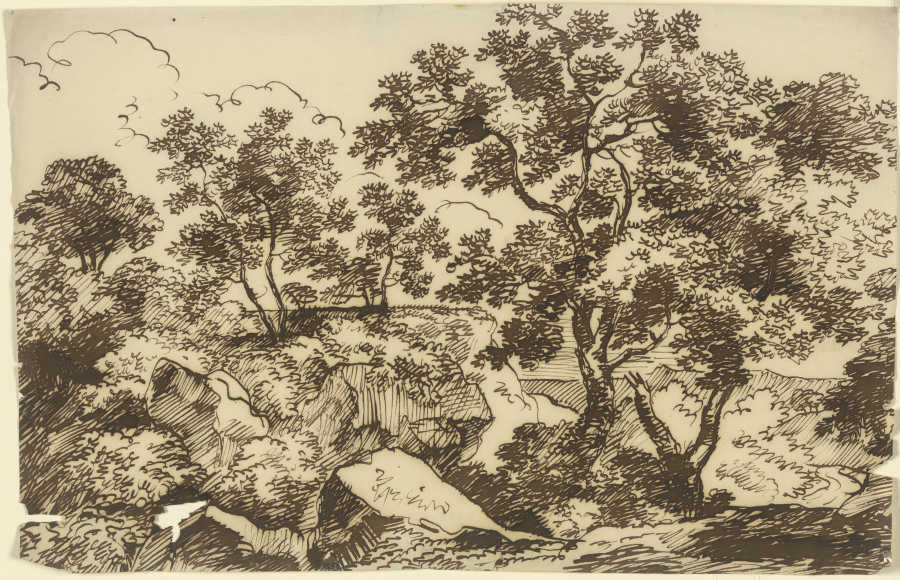 Bäume in einer felsigen Landschaft von Franz Innocenz Josef Kobell