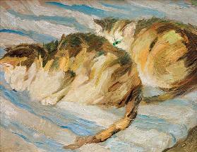 Zwei graue Katzen (Katzenstudie II) 1909