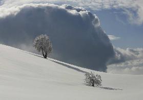 DER WOLKE ZUM TROTZ