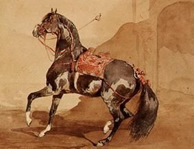 Das Pferd Französisch
