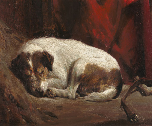 Ein schlafender Foxterrier von Fred Hall
