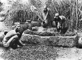 Making palm oil in Dahomey c.1900