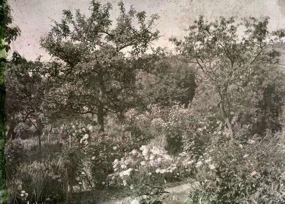 View of Giverny, Monet's Garden, early 1920s (photo) von French Photographer, (20th century)