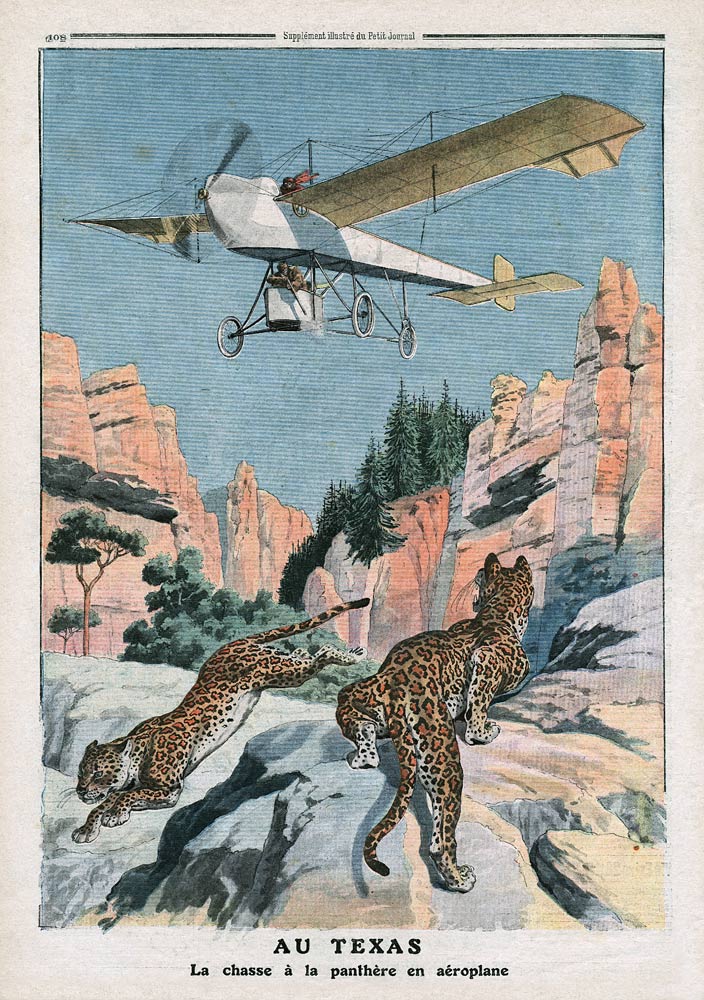 Hunting panthers from an airplane in Texas, illustration from ''Le Petit Journal'', supplement illus von French School