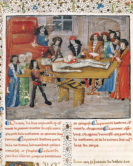 Ms H 184 fol.14v Dissection lesson at the Faculty of Medicine in Montpellier, from ''La Grande Chiru von French School