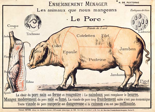 Cuts of Pork, illustration from a French Domestic Science Manual by H. de Puytorac
(colour litho) von French School, (20th century)