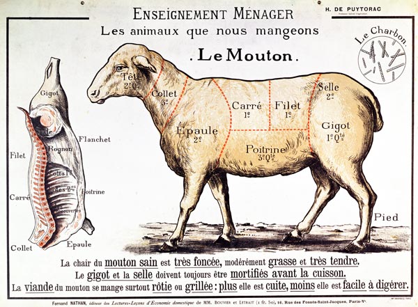 Mutton: diagram depicting the different cuts of meat (colour litho) von French School, (20th century)