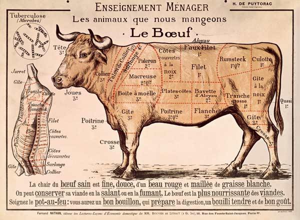 Beef: diagram depicting the different cuts of meat (colour litho) 19th