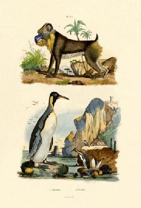 King Penguin 1833-39
