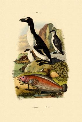 Penguin 1833-39