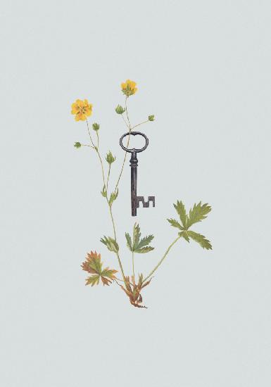 Botanischer Vintage-Schlüssel