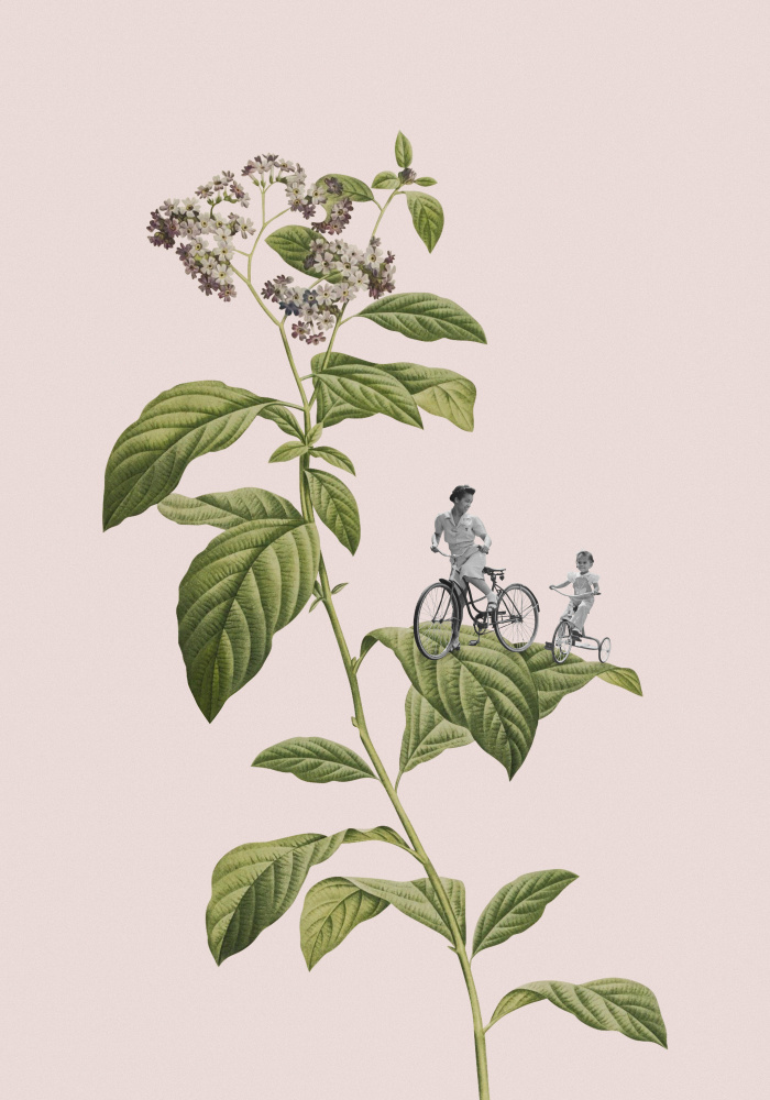 Botanisches Radfahren von Frida Floral Studio
