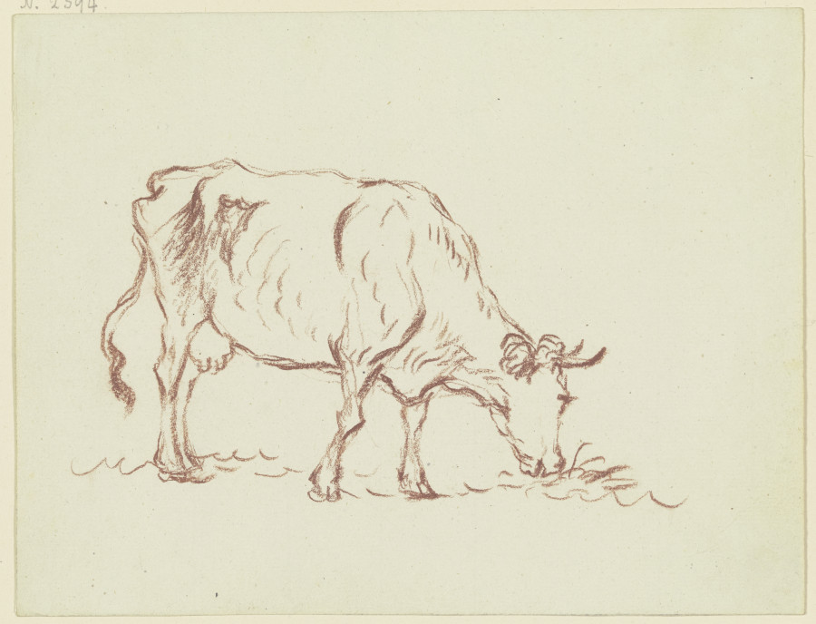 Grasende Kuh nach links von Friedrich Wilhelm Hirt