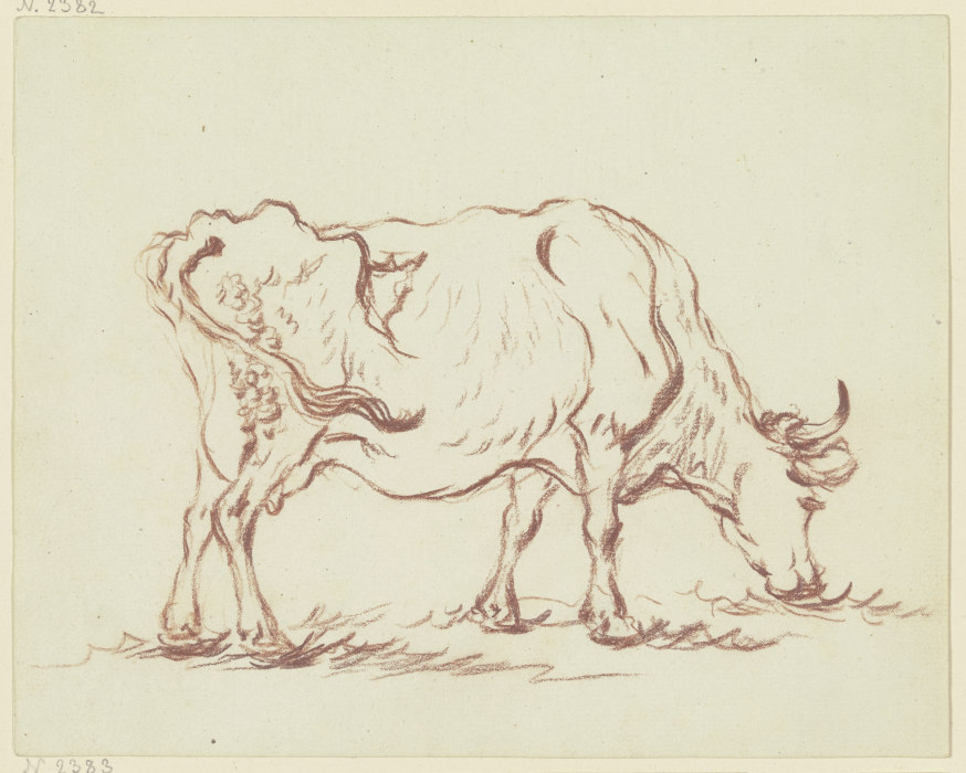 Grasende Kuh nach rechts von Friedrich Wilhelm Hirt