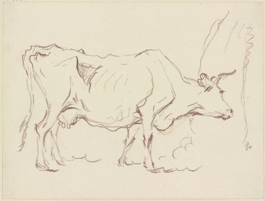 Magere stehende Kuh nach rechts, sich an einem Baumstamm schubbernd von Friedrich Wilhelm Hirt