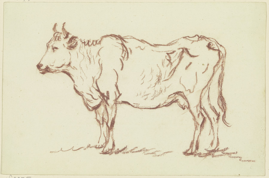 Stehende Kuh nach links von Friedrich Wilhelm Hirt