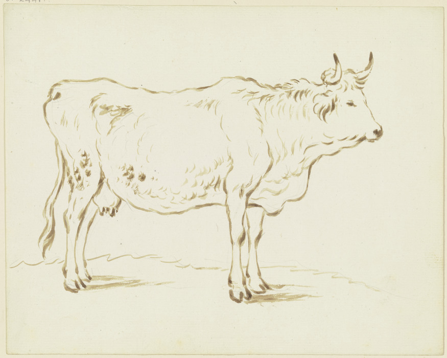 Stehende Kuh nach rechts von Friedrich Wilhelm Hirt