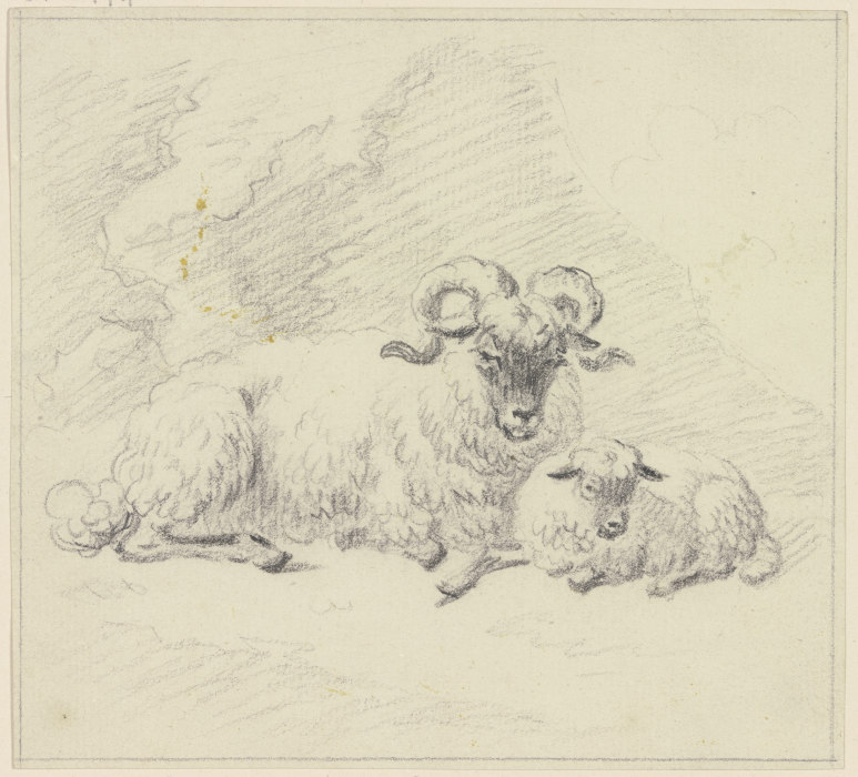 Zwei liegende Schafe von Friedrich Wilhelm Hirt