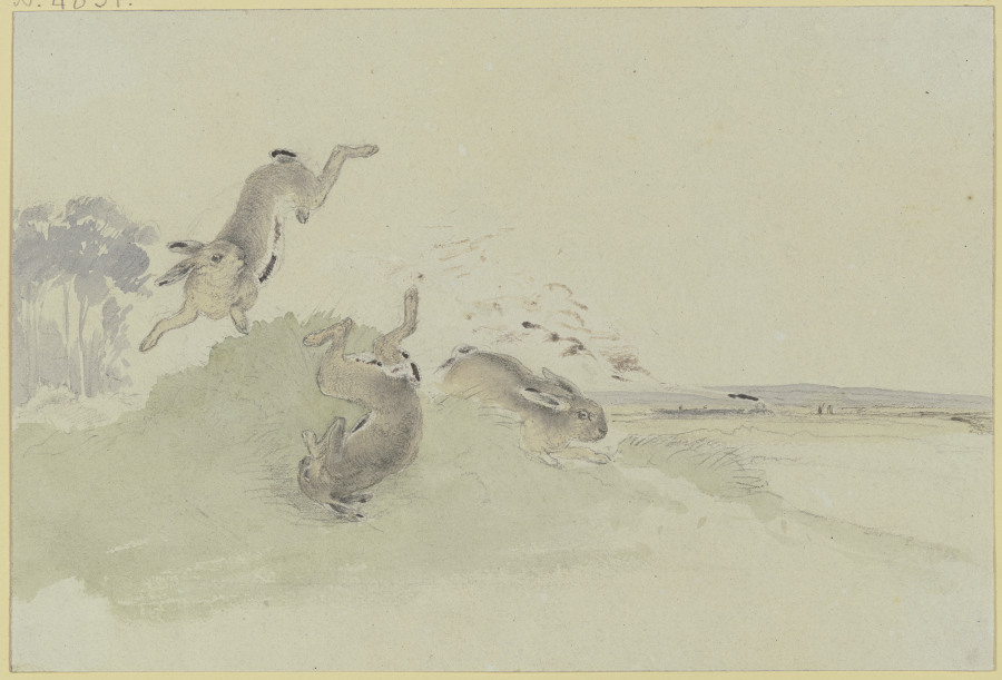 Drei Hasen erschrecken vor der Eisenbahn von Friedrich Wilhelm Keyl