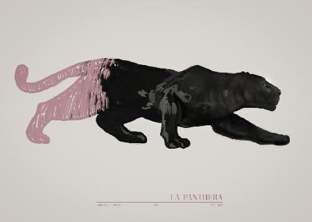 La Panthera (rosa)