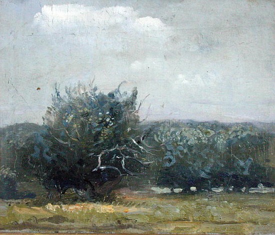 Apple Tree Field (oil on canvas)  von Gail  Schulman