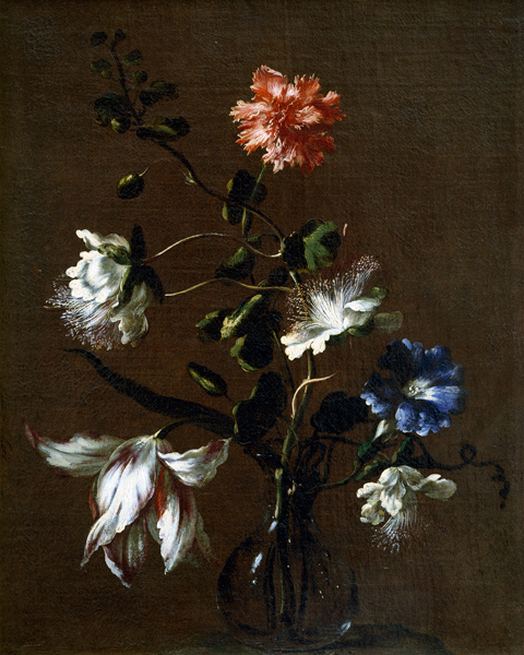 Still life of Caper Flowers, Carnations, Bindweed and Tulips von Gasparo Lopez