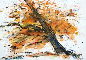 Flammender Herbstbaum 1998