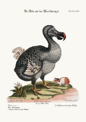 The Dodo, and the Guiney Pig 1749-73