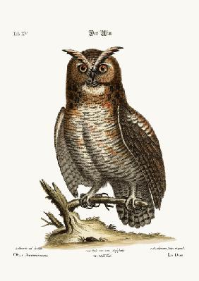 The great horned Owl 1749-73