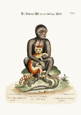 The Middle-sized Black Monkey 1749-73