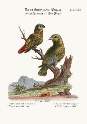 The Sapphire-crowned Parrakeet, and the Golden-winged Parrakeet 1749-73