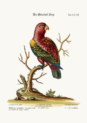 The Scarlet Lory 1749-73