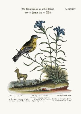 The Yellow-rumped Flycatcher, and the Gentian of the Desert 1749-73