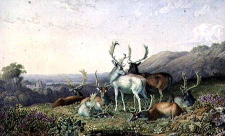 Deer in a Landscape von George Barret