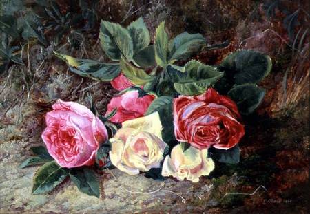 Roses von George Clare