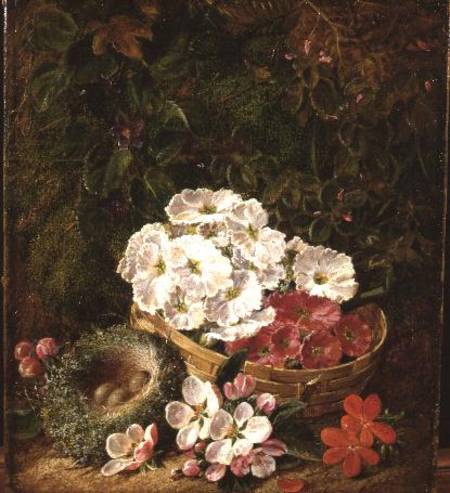 Still life of bird's nest, primulas in a basket and apple blossom von George Clare