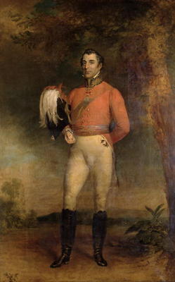 The Duke of Wellington (oil on canvas) von George Dawe