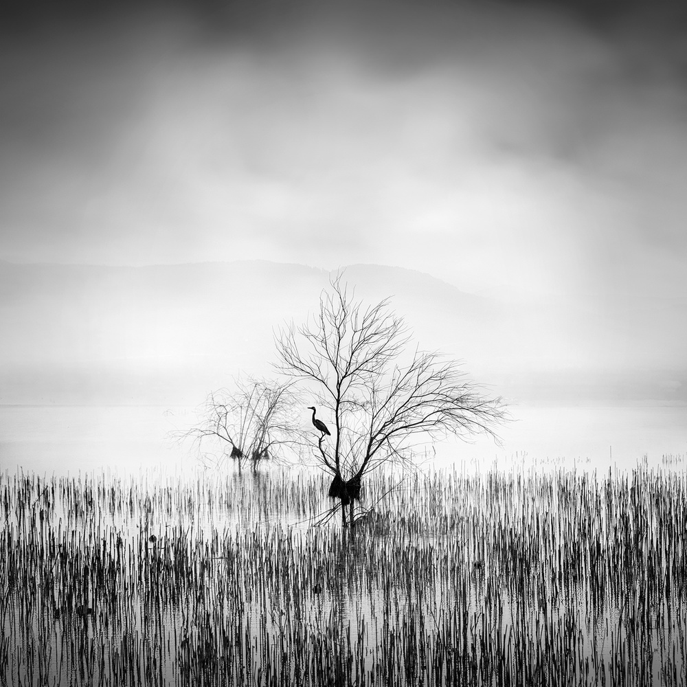 Morgenlied von George Digalakis