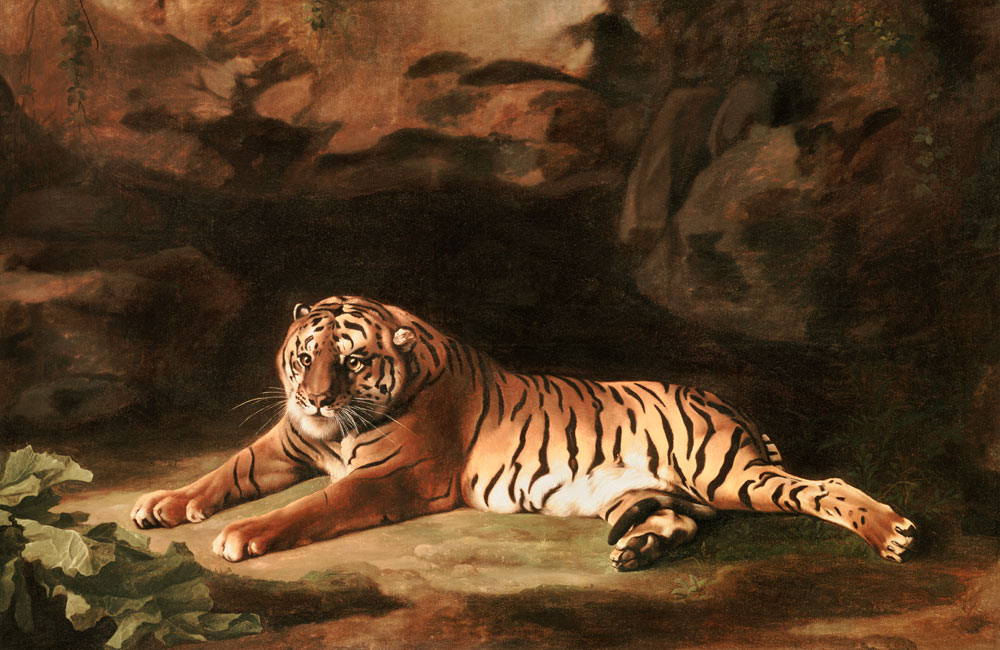 Portrait of the Royal Tiger, c.1770 von George Stubbs