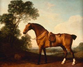 A Saddled Bay Hunter (Ein gesattelter Bay Hunter) 1786