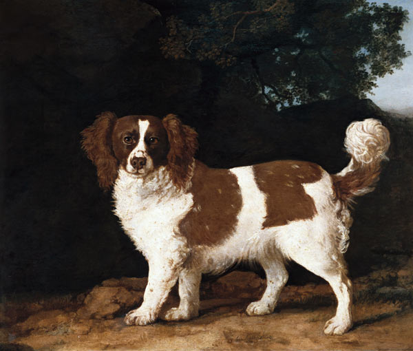 Fanny, the Favourite Spaniel of Mrs. Musters, Standing in a Wooded Landscape von George Stubbs