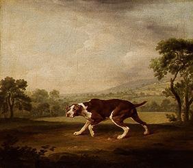 Hühnerhund. 1760/1768