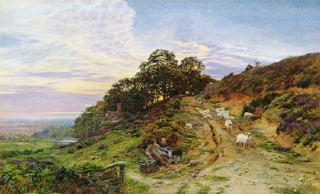 Pitch Hill near Ewhurst 1866  on